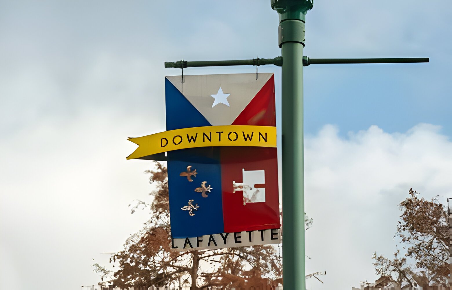 Acadiana Louisiana, flag hanging